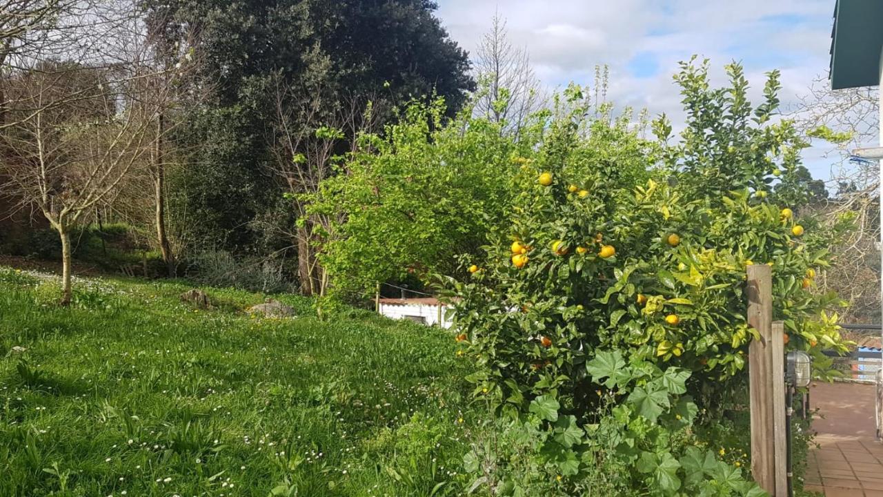 Vivienda Vacacional El Prau Villahormes Exteriör bild